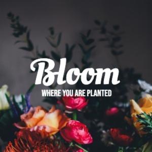Where you are planted