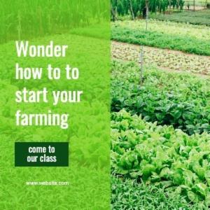 Wonder how to to start your farming
