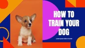 HOW TO TRAIN YOUR DOG